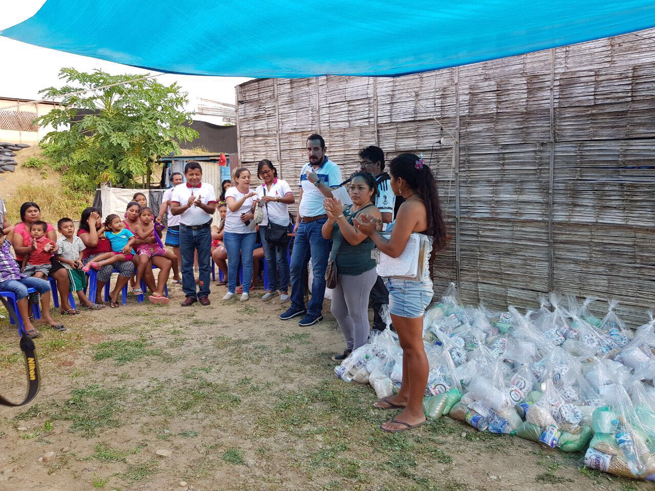 info amadeus volunteer
