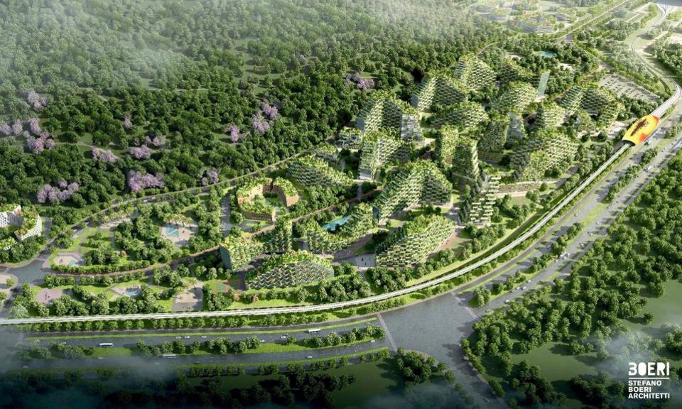 info ciudad bosque1