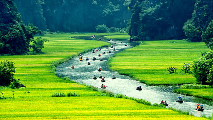 info viet1