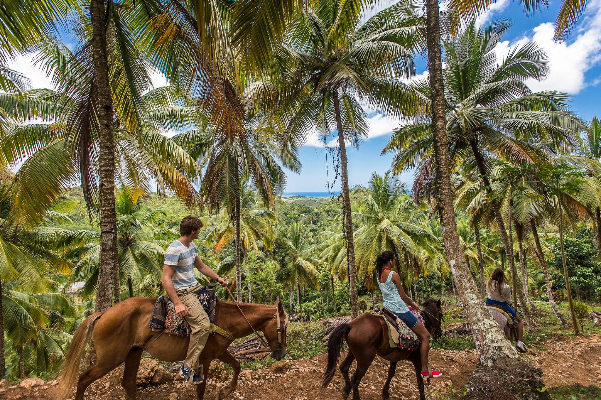 limon dominicana