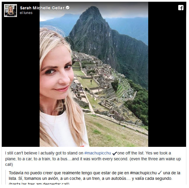 info michelle4