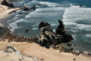 ILLESCAS: El Paracas norte&ntilde;o