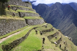 A partir de hoy 01 de Marzo turistas volver&aacute;n a recorrer la red de Caminos Inka de Machupicchu