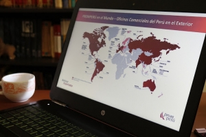 Empresarios peruanos se preparan desde casa para exportar v&iacute;a online