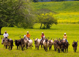 Costa Rica invita a descubrir las maravillas culturales y naturales