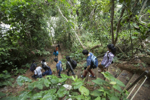 M&aacute;s de 50 agencias de viaje promocionar&aacute;n oferta tur&iacute;stica de las regiones del sur peruano