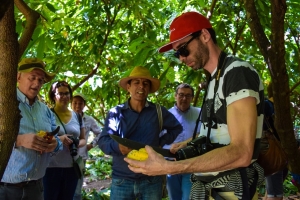 Misi&oacute;n de empresarios europeos y asi&aacute;ticos conocen prestigioso cacao peruano