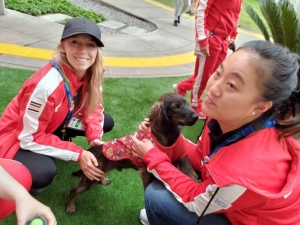 Simp&aacute;tico grupo de perritos conquist&oacute; a los atletas en la Villa Panamericana