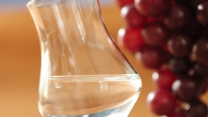 Pisco y co&ntilde;ac: presentar&aacute;n coctel que unir&aacute; ciudades emblem&aacute;ticas del Per&uacute; y Francia