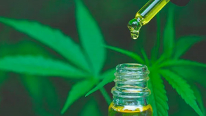 Cannabis Medicinal: Tratamientos con CBG llegan por primera vez al Per&uacute;