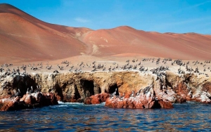 Descubr&iacute; Per&uacute;: Un destino, diversidad de experiencias