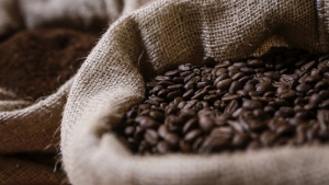 Cajamarca se posiciona como la principal regi&oacute;n exportadora de caf&eacute;