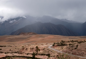 COVID-19: El sector turismo no est&aacute; solo