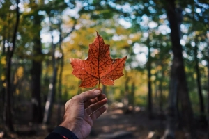 Las razones por las que Canad&aacute; permanece cerrada al turismo