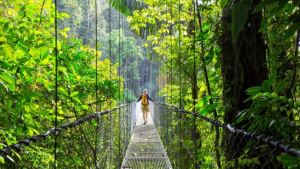 Costa Rica es premiado por WTM Latin America como mejor destino de turismo responsable