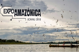 Feria ExpoAmaz&oacute;nica innovar&aacute; con bolsas de resina biodegradable