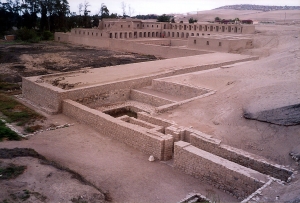 Flora y fauna del Santuario Arqueol&oacute;gico de Pachacamac