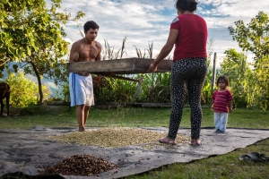 Convenci&oacute;n Nacional de Caf&eacute; y Cacao reunir&aacute; a 200 l&iacute;deres locales e internacionales