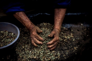 Expo Caf&eacute; 2018 albergar&aacute; a participantes de 15 pa&iacute;ses y esperan recibir mas de 10 mil personas