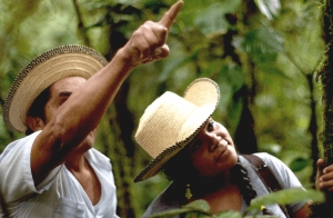 Panam&aacute; potencia el ecoturismo