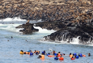 Conozca las siete &aacute;reas protegidas que puede visitar en Semana Santa