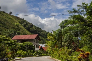 Nuestra selva central huele a caf&eacute;