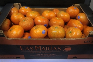 Mincetur: Mandarina peruana ingres&oacute; a Indonesia
