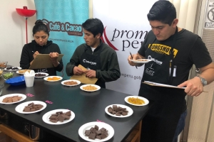 Catadores peruanos de caf&eacute;s especiales se preparan para llegar a est&aacute;ndares internacionales