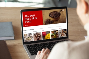 Per&uacute; lanza su primera plataforma comercial de venta de productos online al mundo