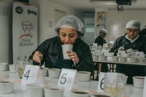 Taza de excelencia Per&uacute; 2020: 36 caf&eacute;s buscan ser el mejor caf&eacute; del pa&iacute;s
