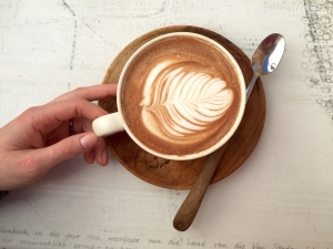 Festival Org&auml;anika Coffee: Un evento para los amantes del caf&eacute;