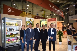 Danper particip&oacute; en la feria alemana Fruit Log&iacute;stica 2020