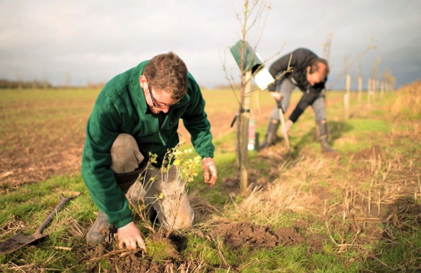 AccorHotels lanza una plataforma de financiaci&oacute;n para apoyar la producci&oacute;n agroforestal en todo el mundo