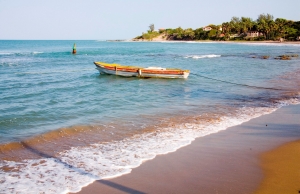 Viajes de aprendizaje en Jamaica
