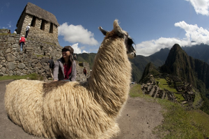 Per&uacute; lanza exitosa campa&ntilde;a de promoci&oacute;n en China: videos son vistos por 7.5 millones de personas (V&Iacute;DEO)