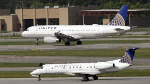 Nueva denuncia contra United Airlines: Pasajero asegura ser picado por escorpi&oacute;n durante un vuelo