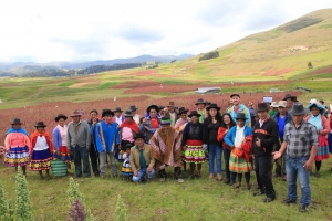 Productores de Andahuaylas exportan por primera vez quinua y ch&iacute;a a Italia