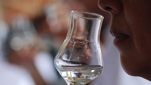 Denominaci&oacute;n de origen del pisco: Gobierno chileno costear&aacute; el 50% de la defensa en juicios en India y Tailandia
