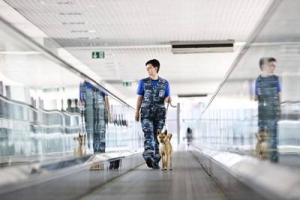 Aeroflot registra su propia raza de perros olfateadores