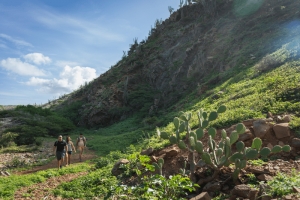 Aruba, la Isla Feliz le apuesta al turismo sostenible y a la protecci&oacute;n del medio ambiente
