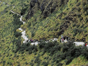 Proponen poner en valor el camino inca que une Machu Picchu con zona amaz&oacute;nica