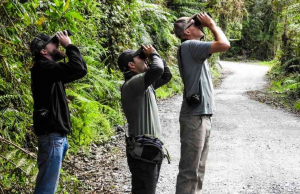 Colombia estrena su primera gu&iacute;a para el turismo de naturaleza