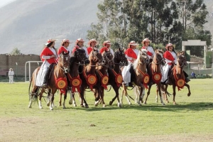 Valle Sagrado acoger&aacute; el I Concurso de Caballo Peruano de Paso