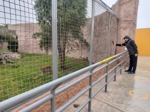 Parque de las Leyendas presenta protocolos al reabrir sus puertas al p&uacute;blico (AUDIO)