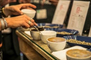 Caf&eacute;s especiales del Per&uacute; alcanzan podio en importante concurso de los Estados Unidos