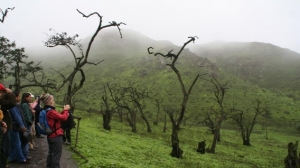 Sernanp impulsar&aacute; la venta de bonos de carbono a turistas a trav&eacute;s de ONG