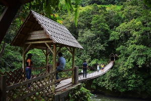 CRUZ DEL SUR inaugura nueva ruta a la selva central