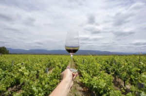 Argentina y Chile presentaron &ldquo;la ruta del vino m&aacute;s larga del mundo&rdquo;