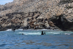 Sernanp lanza a islas Gua&ntilde;ape, en La Libertad, como nuevo destino de naturaleza
