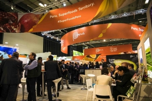 PROMPER&Uacute; potenciar&aacute; operadores tur&iacute;sticos y pymes exportadoras a nivel internacional el 2020